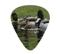 PLAGDECNA Guitar Picks Variety Pack 144 PCS, Loon Nature Bird Smooth-Edged ABS Plectrums for Guitar & Ukulele, 3 Thickness Options (0.46mm, 0.71mm, 0.96mm), Clear Sound Bright/Warm Tones