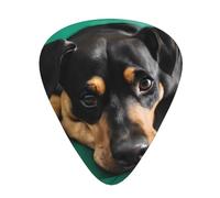 PLAGDECNA Guitar Picks Variety Pack 216 PCS, Dachshund Dog Smooth-Edged ABS Plectrums for Guitar & Ukulele, 3 Thickness Options (0.46mm, 0.71mm, 0.96mm), Clear Sound Bright/Warm Tones