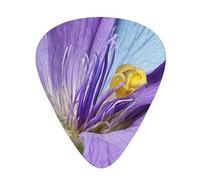 PLAGDECNA Guitar Picks Variety Pack 216 PCS, Northern Lights Painting Smooth-Edged ABS Plectrums for Guitar & Ukulele, 3 Thickness Options (0.46mm, 0.71mm, 0.96mm), Clear Sound Bright/Warm Tones