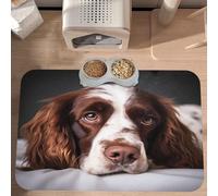 PLAGDECNA Waterproof Pet Feeding Mat, Non-Slip Dog Cat Bowl Mat, cute dog Pet placemat, Absorbent Leather Diner Placemat for Food & Water, Easy-Clean, Indoor/Outdoor Use, 30x45cm