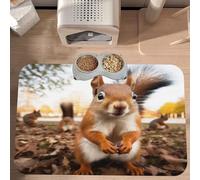 PLAGDECNA Waterproof Pet Feeding Mat, Non-Slip Dog Cat Bowl Mat, Cute Squirrel Pet placemat, Absorbent Leather Diner Placemat for Food & Water, Easy-Clean, Indoor/Outdoor Use, 30x45cm