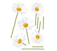 PLAGE 157063 STICKERS - WALL ADHESIVE - Daisy, 2 Sheets, 29,7 x 21 cm