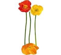 Plage 803703 STICKERS - WALL ADHESIVE Size 2XL - Orangy poppies, 120 x 50 cm