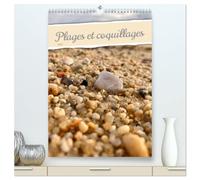 Plages et coquillages (Calendrier mural 2027 DIN A2 horizontal) calendrier de bureau: Découvrez notre calendrier unique dédié aux amoureux de la mer.