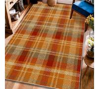 Plaid Area Rug, Fall Cozy Check Lines Fall Orange Non-Slip Backing Edge Binding Home Rectangle Carpet Rugs for Living Room Bedroom College Dorm Kitchen Decor 4' X 6'