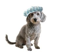 Plaid Beret Hat for Cats Dogs,Classic Grid Pet Cap with Adjustable Chin Strap,Cat Dog Costume Hair Accessory Princess Hat for Photo Daily Walks_S(Blue)