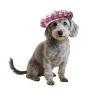 Plaid Beret Hat for Cats Dogs,Classic Grid Pet Cap with Adjustable Chin Strap,Cat Dog Costume Hair Accessory Princess Hat for Photo Daily Walks_S(Pink)