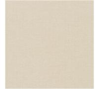Beige Plain Textured Vinyl Wallpaper Echo Modern Paste the Wall 10.05m Roll