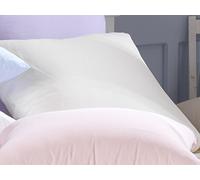 Plain Dye Blended Cotton 80cm x 80cm Continental Housewife Pillowcase Pair in Cream