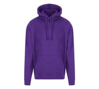 Plain Hoodie Brushed Fleece Pullover Hooded Sweatshirt Jumper Men Women PRO RTX