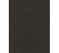 Plain Notebook | 8.5×11 Large Writing Journal for Work, School & Creative Ideas | Minimalist Blank Pages for Notes, Sketching: Simple Aesthetic Blank ... for Writing, Drawing, Journaling, Daily Notes