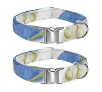 Plain white meets blooming flowers, beauty happens naturally Adjustable Pet Collar for Small Medium Large Dogs & Cats, Reflective Strip for Night Safety, Soft Comfort Pad