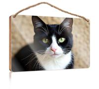 Plain Wood Signs for Crafts A Black and White Cat with Striking Green Eyes Fall Front Door Decor Funny Hunting Gifts(23X35CM)