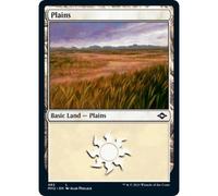 Plains #482 | Modern Horizons 2