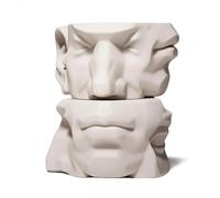 Planar Head Model for Figure Drawing, Five Features Eye Nose Mouth Ear Face Plane Art Drawing Mannequin for Artists, 1Pack