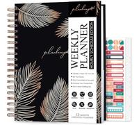 PLANBERRY Large Hourly Schedule Planner Premium - Undated Hourly Schedule & Budget Organizer for Time Management - Productivity Journal with Habit Tracker - 20 x 27cm Hardcover (Onyx Black)