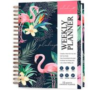 PLANBERRY Weekly Planner Large - Elegant Life & Budget Planner to Hit Your Goals & Live Happier - Organizer & Productivity Journal - 20x27cm Hardcover, Undated + Stickers Rose Flamingo