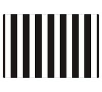 Plancholo Geometric Stripes Entrance Mat Bathroom Front Door Interior Floor Entrance Bedroom Outdoor Patio Rubber Backing In The Doormat Entrance Carpet Shoe Scraper- 31.5 x 19.7 Inch