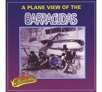 Plane View of the Barracudas by Barracudas (1995-10-20)