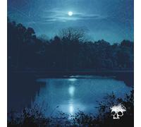 Planes Mistaken For Stars - Do You Still Love Me? [VINYL]