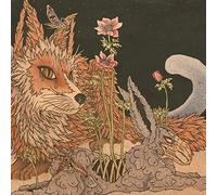 Planes Mistaken For Stars - Prey