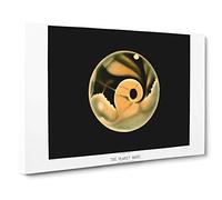 Planet Mars by E. L. Trouvelot Canvas Print | Gallery Wrapped 30mm Frame Wall Art | 30x20 inches | Ready to Hang | Modern Space Picture | Living Room Bedroom Lounge Office