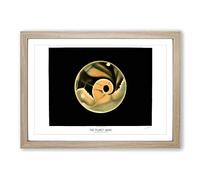 Planet Mars by E. L. Trouvelot Framed Print | A2 Oak Framed Wall Art | Ready to Hang | Modern Space Picture | Living Room Bedroom Lounge Office