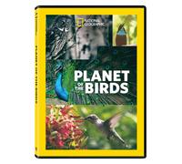 Planet Of The Birds