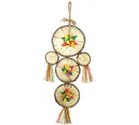 Planet Pleasures Dream Catcher Toy, Small
