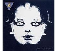 Planetary Assault Systems - The Drone Sector (UK Import)