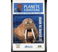 PLANÈTE COUSTEAU: LE SOURIRE DU MORSE