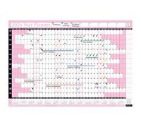 PlannerHead 2026 Wall Planner Baby Pink | Yearly Calendar 2026 for Students, Families, Businesses, Offices |UK & Ireland Bank Holidays |Unmounted & Unlaminated (Baby Pink, Large 49cm x 70cm - Rolled)
