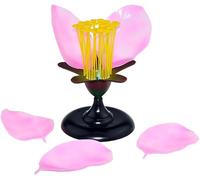 Plant Anatomical Model for Peach Flower Study, Biology Kit for Self-Pollination Demonstration, Colored ABS Material Educational Tool, Anatomical Study Aid