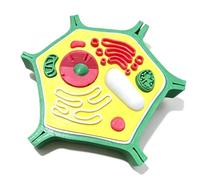 Plant Anatomy Model Cell 3D Printed Toy Teaching Aid Lab Supplies Great for Classroom Display Study Teaching Anatomy