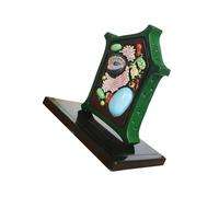 Plant Anatomy Model Toy Teaching Aid Cell Lab Supplies Biology Learning Aid Toy