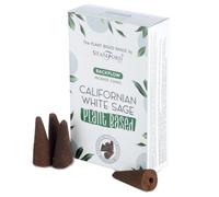 Plant-Based Backflow Incense Cones - Californian White Sage, Long-Lasting Aroma
