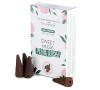 Plant Based Backflow Incense Cones - Sweet Musk