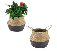 Plant Basket, 2PCS Foldable Black Seagrass Wicker Woven Storage Basket Woven Plant Pot Holder Flower Pot with Handles