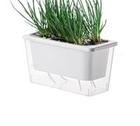 Plant Box for Cat Grass, Hydroponic Plant Pot for Cat Grass for Indoor Use, Hollowed Container with Earthless Watering for Innovative Pet Snacks for the Courtyard or Window