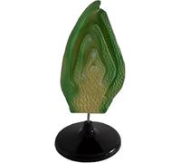 Plant Bud Structure Model for Education, Detailed Biology Teaching Tool, Science Classroom Project