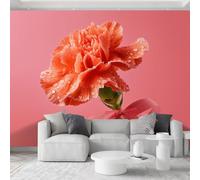 Plant Carnations Panorama Photo Wallpaper 500 x 280 cm Non-Woven Art Wall Mural, Photography Wall Mural for Master Bedroom Hotel Suite Tv Sofa Background Photo Wallpaper