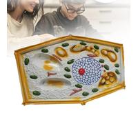 Plant Cell Anatomy Model, Plant Cell Structure Microscopic Specimens Model, Biological Teaching Enlarged for Middle School Biology Education Magnified View