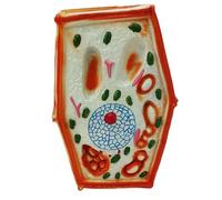 Plant Cell Model Anatomy Model Plant Cell Model Medical Teaching Cell Model for School Biology Teaching Education Scientific Research(A)