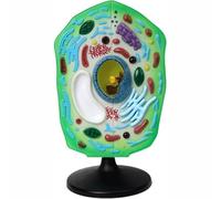 Plant Cell Model, Detachable Engineering Plastic Biological Anatomy Model for Science Education Lab Teaching Student Learning 1pcs 28mm*47mm