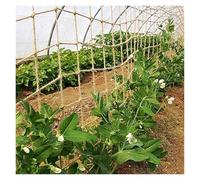 Plant Climbing Net Natural Jute, Environmentally Friendly, Biodegradable, Heat Resistant Suitable for Supporting The Growth of Vines(4cm mesh,4x2m)