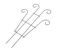 Plant Climbing Trellis Frame with Iron Stakes Helping Flower Plants Grow in Gardens Suitable for Rose Sunflower Orchid Lily and Zinnia