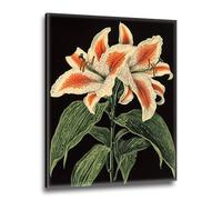 Plant Flowers Pattern Diamond Painting DIY Cross Stitch Arts Crafts Pictures Embroidery Kit, 5D Diamond Painting Arts and Crafts for Kids, Christmas Decorations Pictures, Room Decor 12x16 in M-j-158