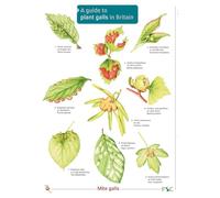 Plant Galls in Britain (WildID)