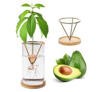 Plant Germination Kits,Avocado Tree Growing Kits, Avocado Growing Vase Wooden Base Avocado Seed Starter Vase Glass Plant Pot Easy Seed Sprout Starter Home Office Table Decoration (Gold)