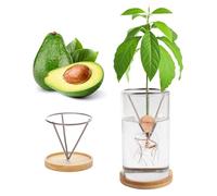 Plant Germination Kits,Avocado Tree Growing Kits, Avocado Growing Vase Wooden Base Avocado Seed Starter Vase Glass Plant Pot Easy Seed Sprout Starter Home Office Table Decoration (Grey)